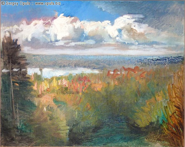 Панорама Дудергофа